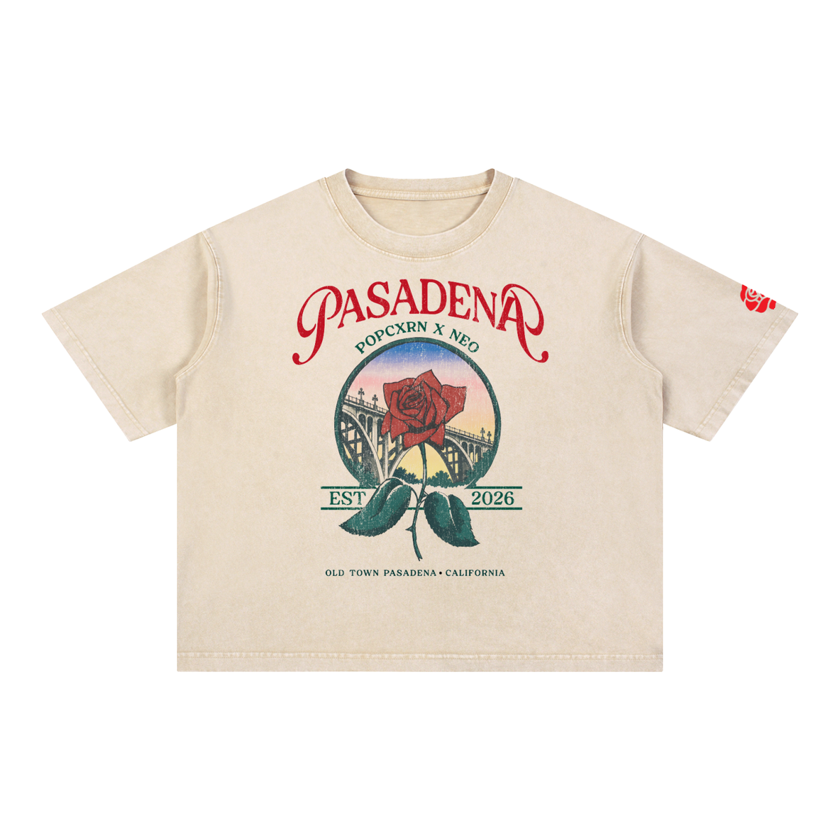 Mineral Wash Boxy Cotton T-Shirt