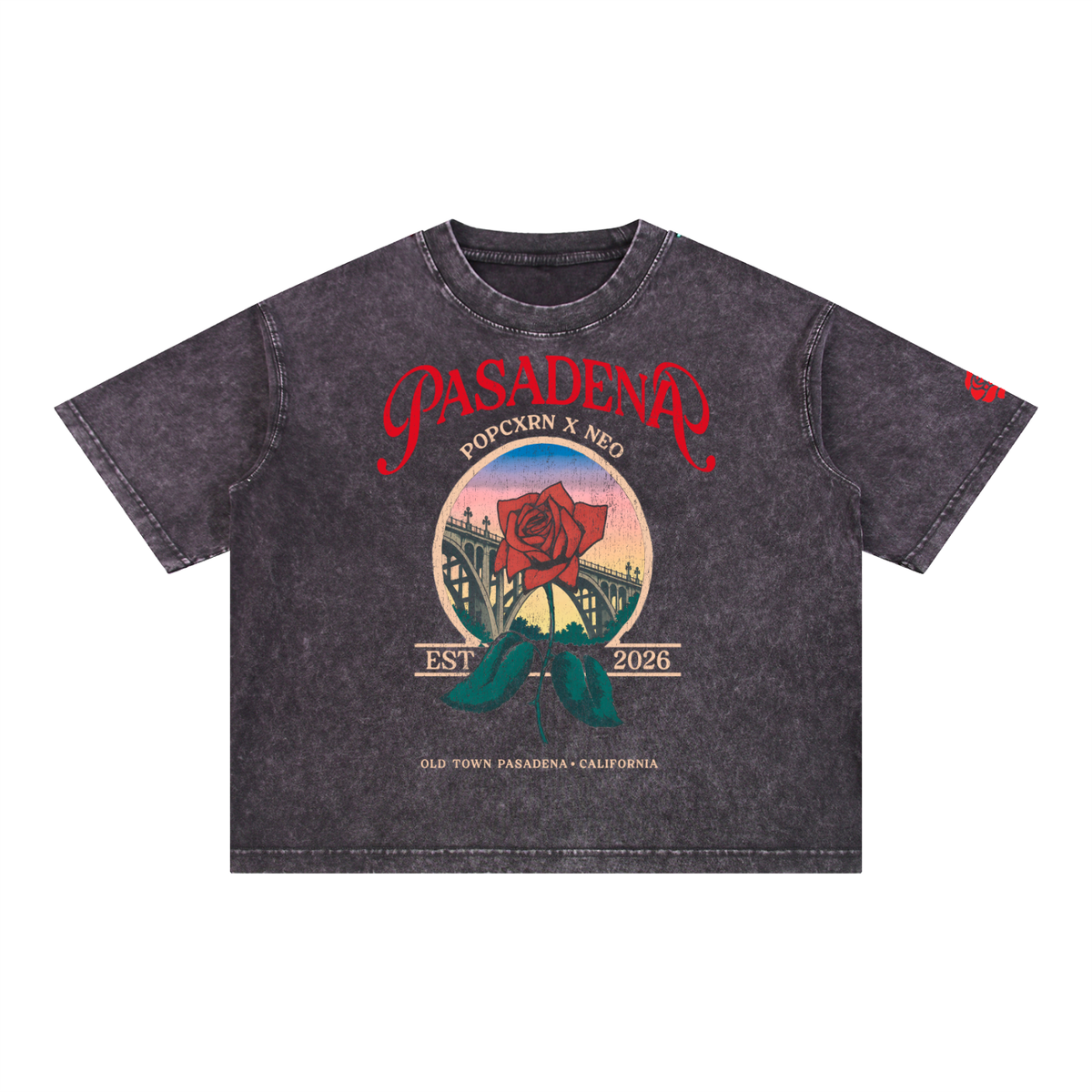 Mineral Wash Boxy Cotton T-Shirt