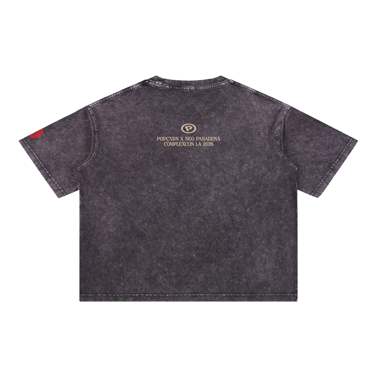 Mineral Wash Boxy Cotton T-Shirt