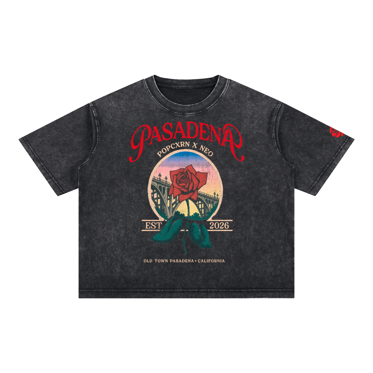 Mineral Wash Boxy Cotton T-Shirt