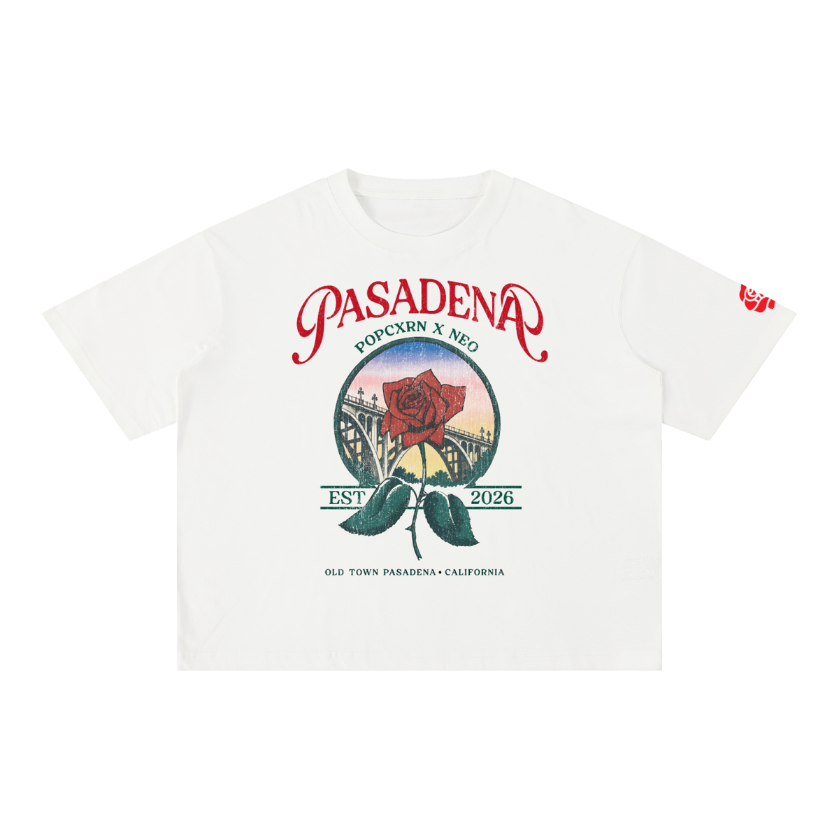Mineral Wash Boxy Cotton T-Shirt