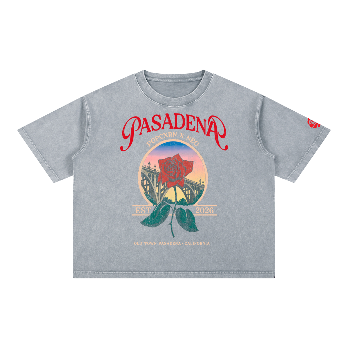 Mineral Wash Boxy Cotton T-Shirt